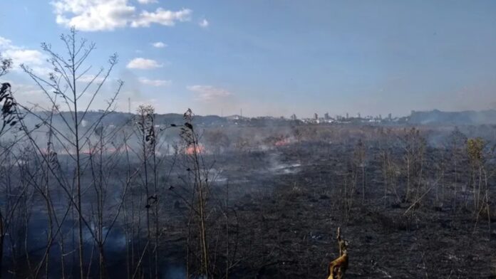 Área de mata do Exército é atingida por incêndio em Pouso Alegre